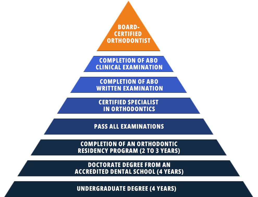 Board Certified Orthodontist Steps